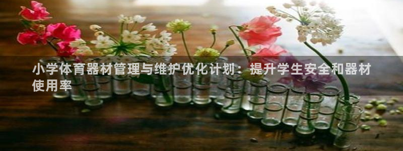 尊龙网站人生就是博：小学体育器材管理与维护优化计划：