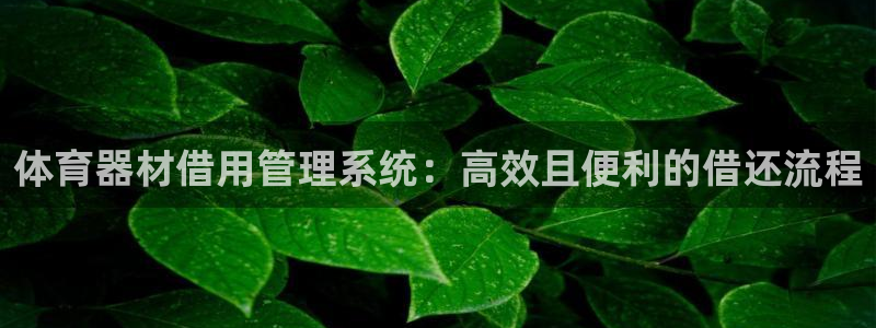 尊龙凯时推荐人：体育器材借用管理系统：高效且便利的借