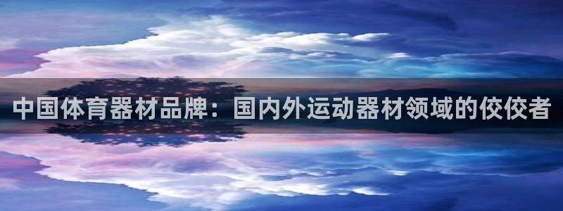 d88尊龙z6：中国体育器材品牌：国内外运动器材领域