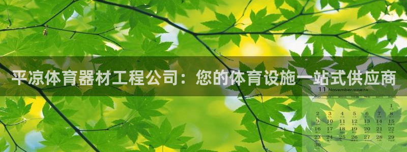 尊龙凯时官方网站下载：平凉体育器材工程公司：您的体育