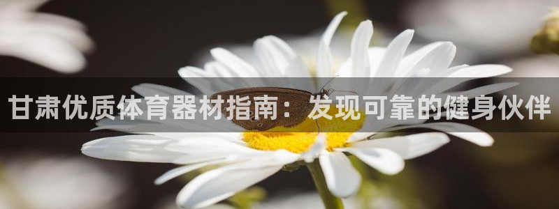 尊龙凯时网站是什么地方人开的：甘肃优质体育器材指南：